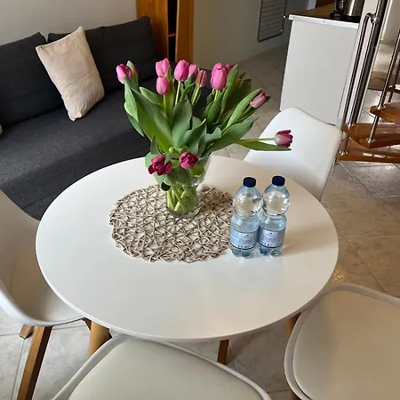 Statek 114-blisko Morza *